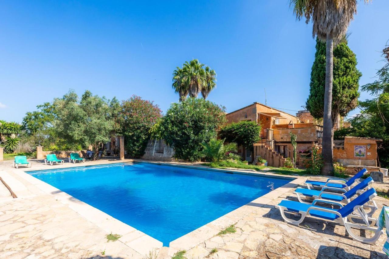 Llorenc - Finca Es Pla Nou