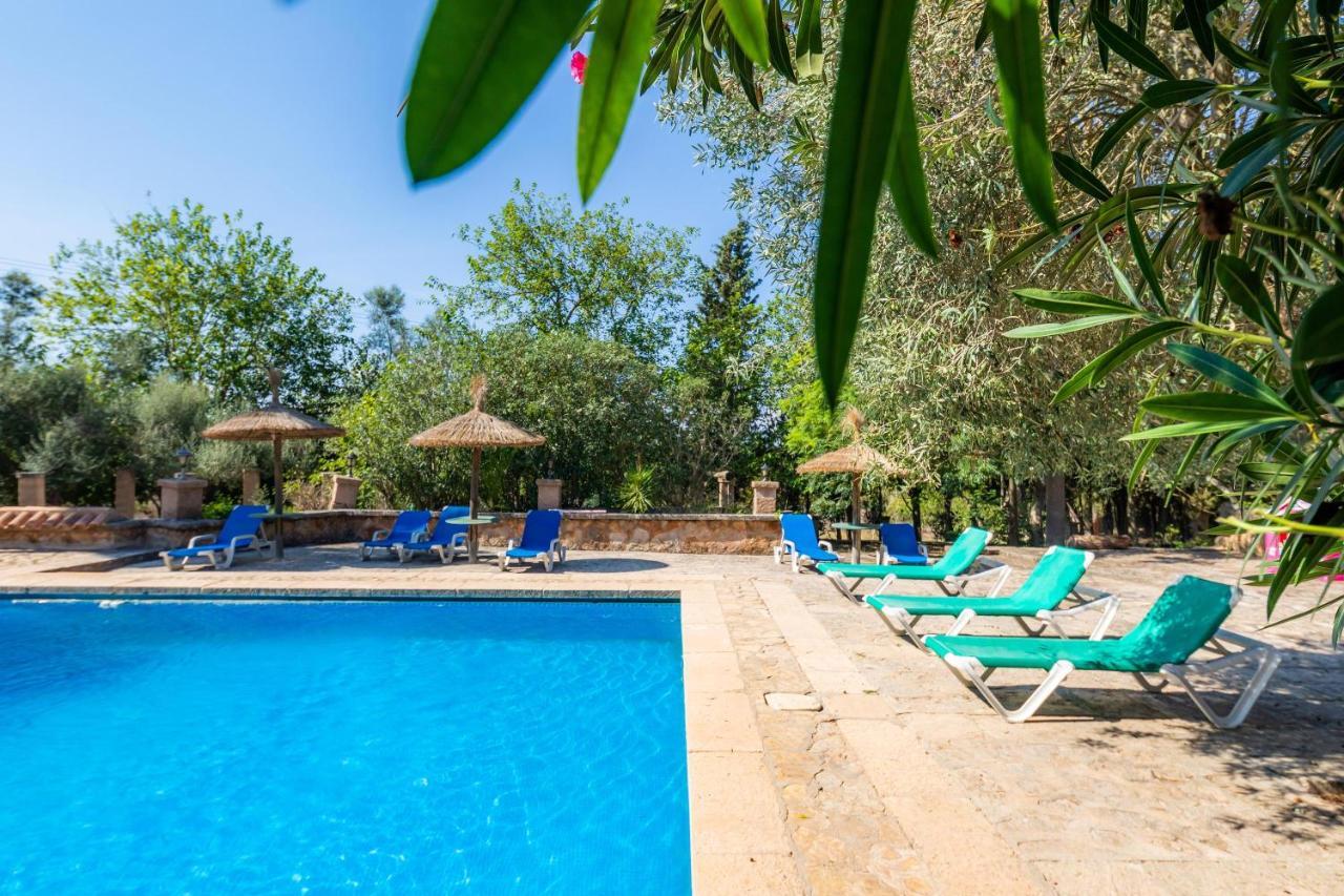 Llorenc - Finca Es Pla Nou Apartment Manacor (Mallorca)