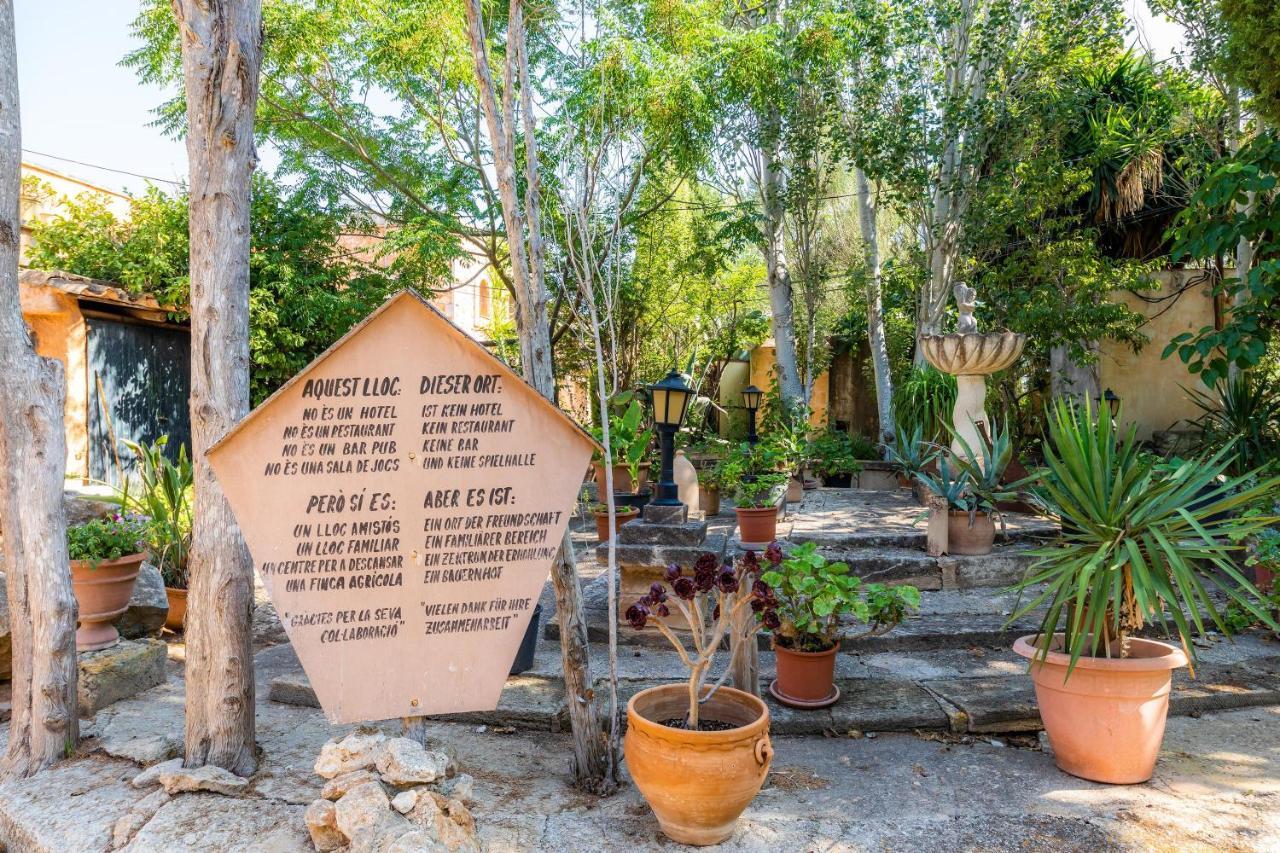 Llorenc - Finca Es Pla Nou Manacor (Mallorca)